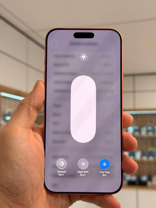 iPhone 17 Pro Max | 512 GB | eSIM