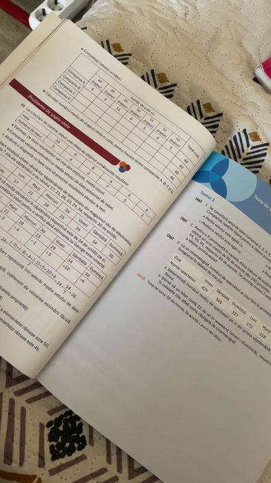 Culegeri matematică clasa a 8 a