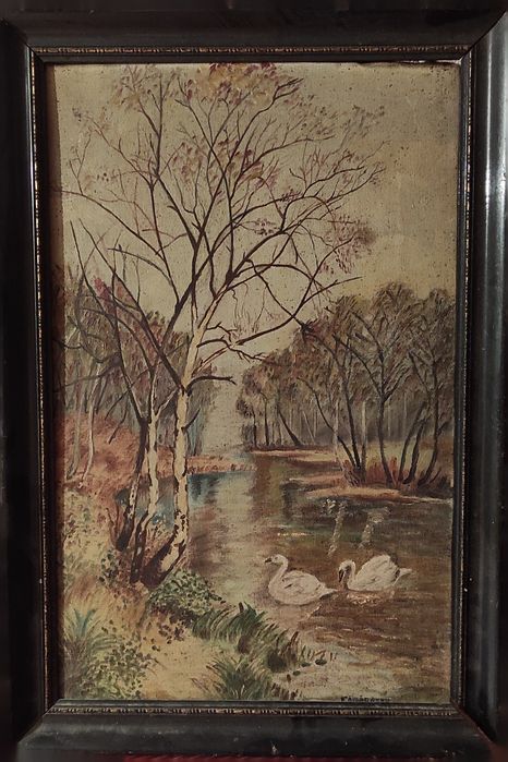 PICTURI de peste 100 DE ANI