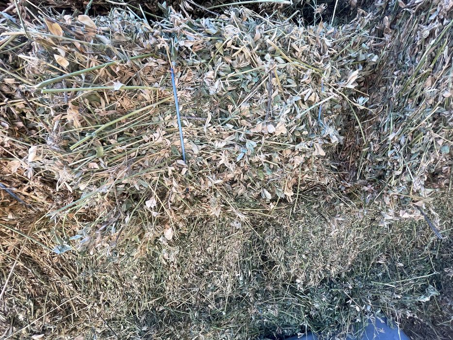 Baloti lucerna   coasa a 4a 25 kg, fan