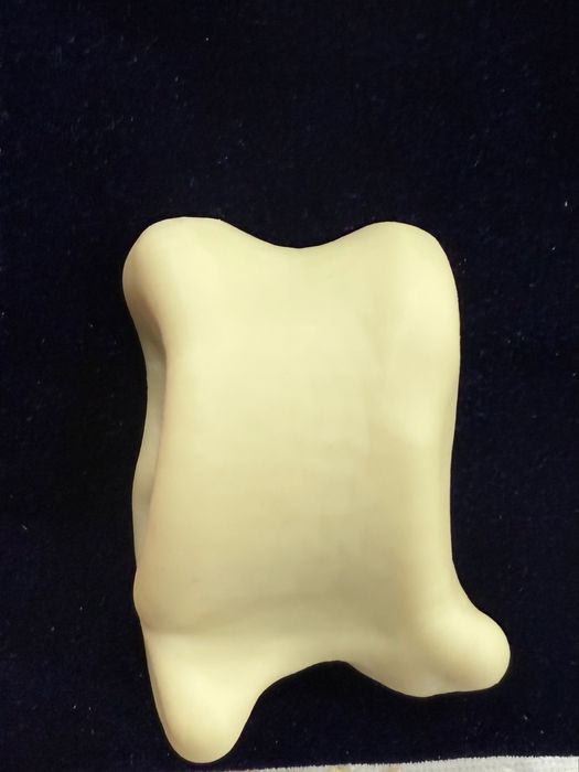 Сақа кәсіби солақай.