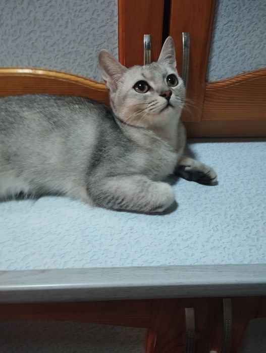 Royxatdan holda qishloqlarda jinsiy aloqa