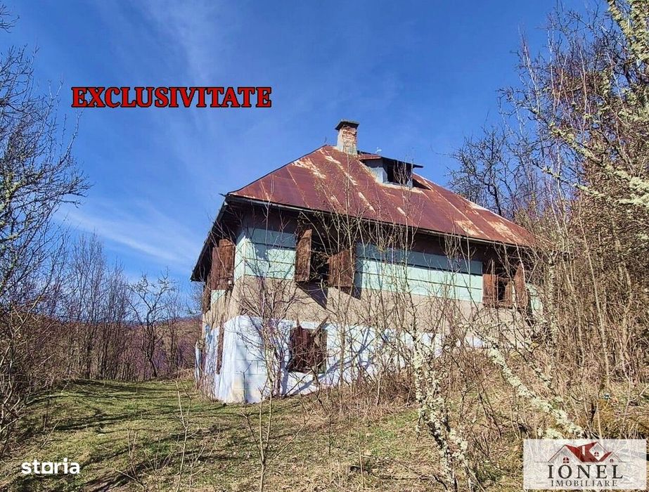 Casa de vanzare in Apuseni - Bistra