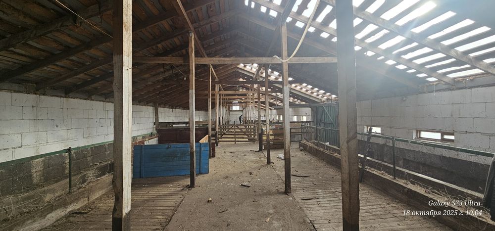 Продам животноводческую базу