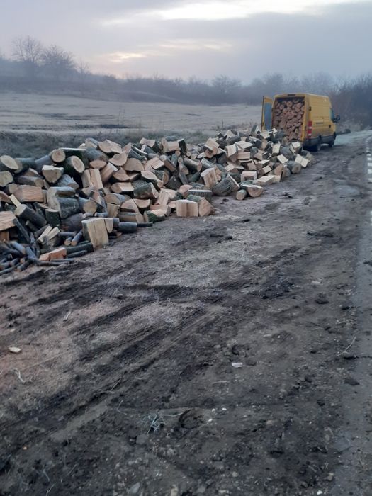Aduc lemne de foc esență tare