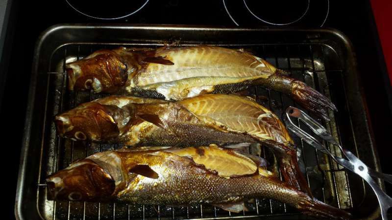 Пушилня - Уред за опушване на месо и риба