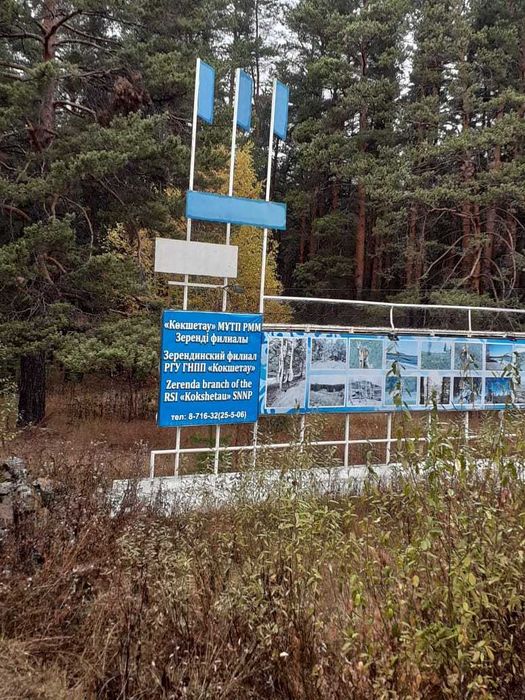Сдается в аренду посуточно