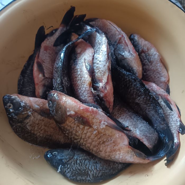 Продам свежую рыбу