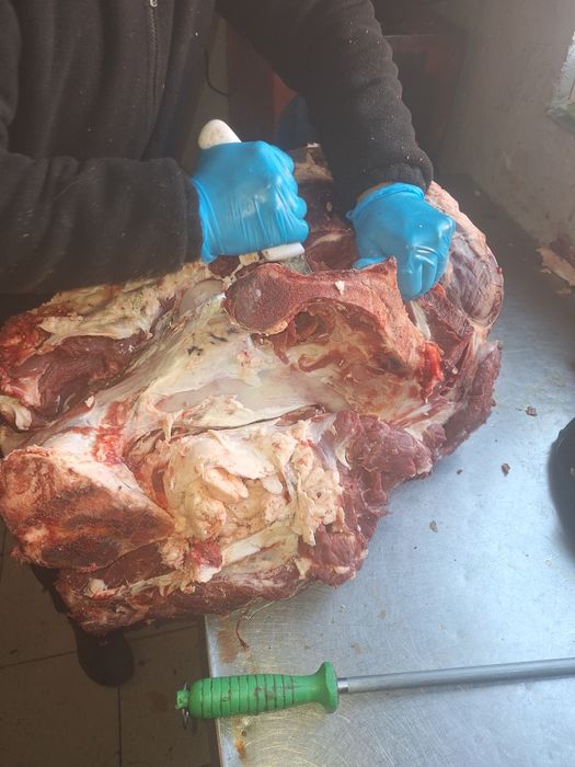 Касапшы (распил туш)