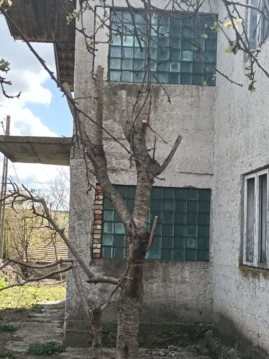 Vând casă în localitatea Albești și teren intravilan