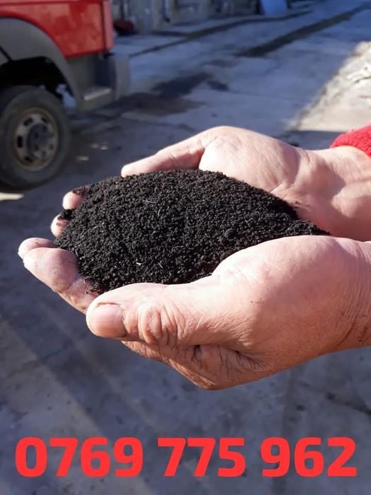 Pământ negru plus mranita