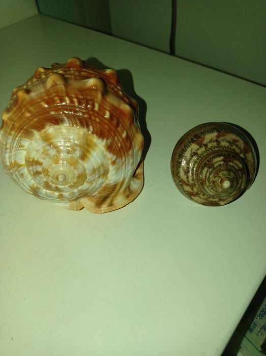 Продам сувениры срочно