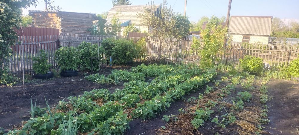 Продам дачу гудок ( Эврика)