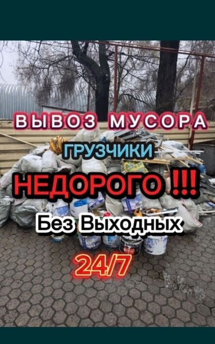 Whatap доступен 24 часа