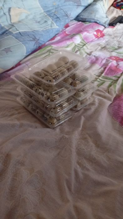 Перепелиные яйца.