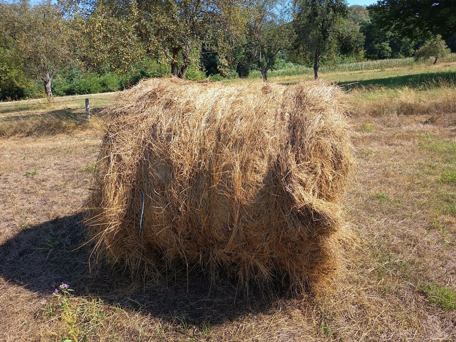Baloți rotunzi de fân !