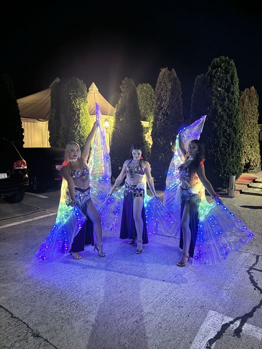 Animatori pentru copii/Ursitoare botez/Momente artistice