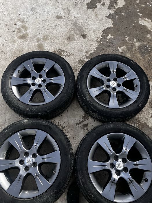 Сиена аяғы 235/19