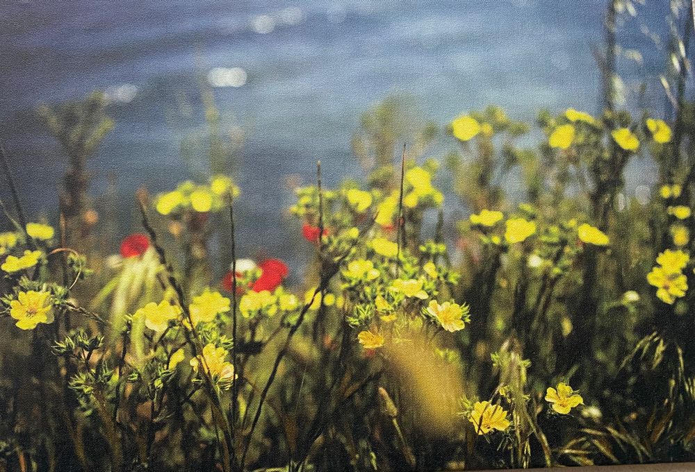 Канава Пролет 80/60