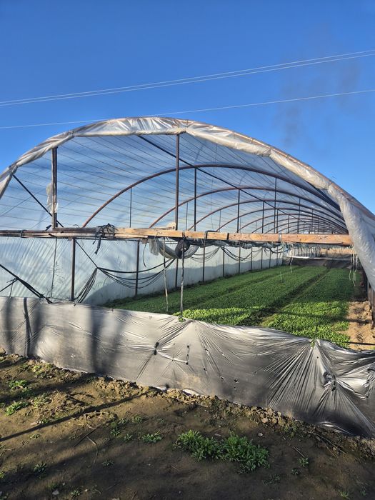 Дава се под наем Земеделски имот в Пазарджик, Окръжна болница -  кв.м за 295.8 € - Снимка #1