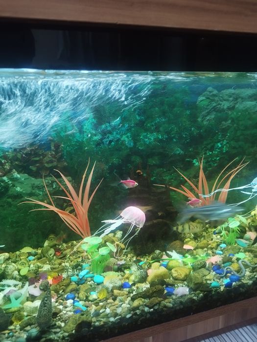 Продам аквариум с усиленным столиком