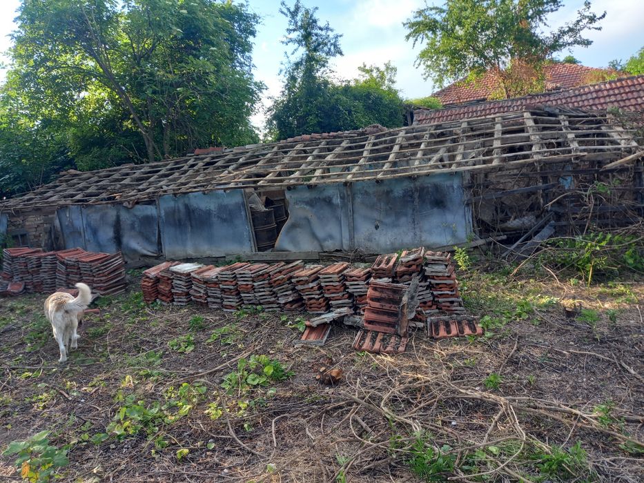 продавам 350 бр. kеремиди български употребявани-0,30ст бройката