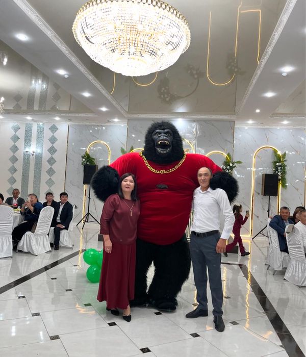 Аниматор Горилла Кинг конг поздравление