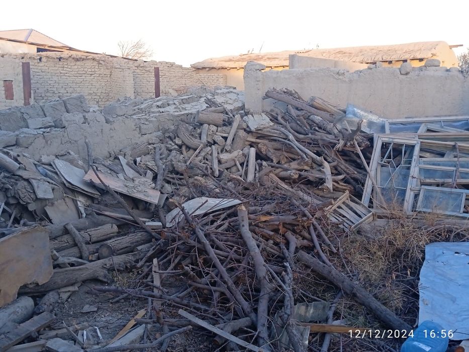 Oʻtin daraxtniki sotiladi