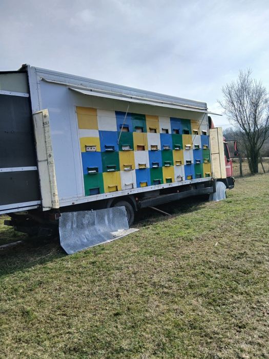 Vand pavilion / camion apicol