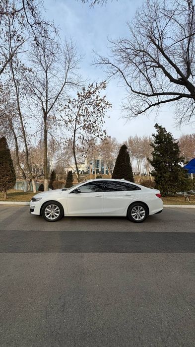 Malibu LT turbo 2019