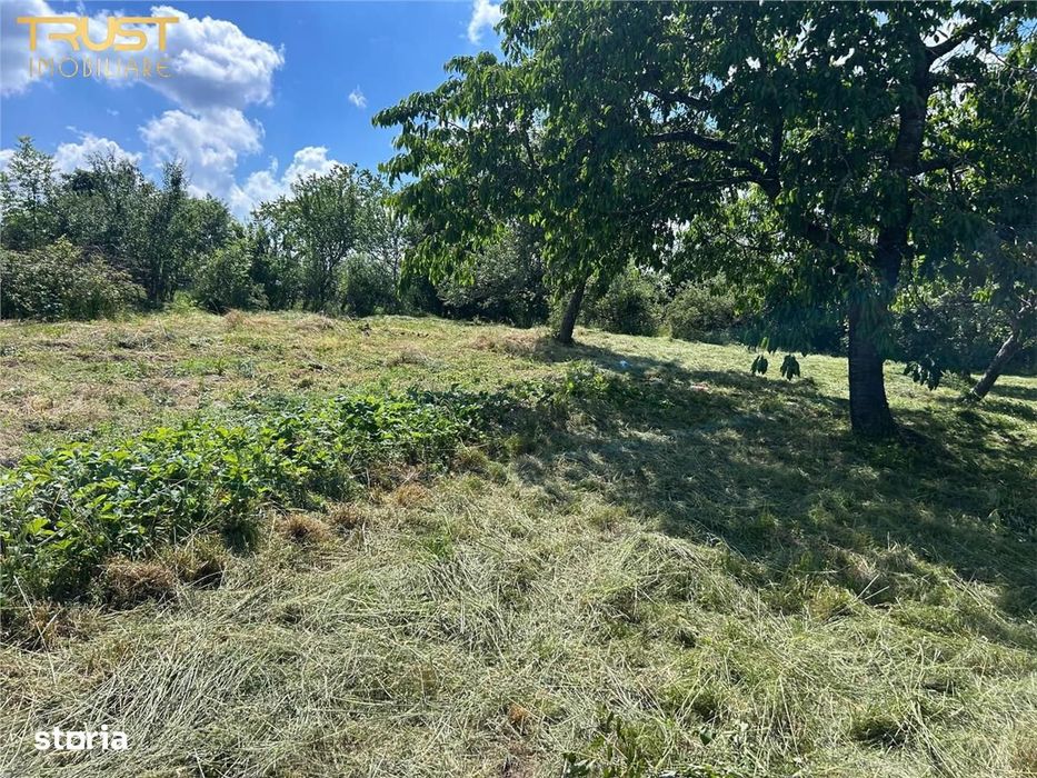 Casa de vanzare l Dangau Mare l 3135 MP Teren