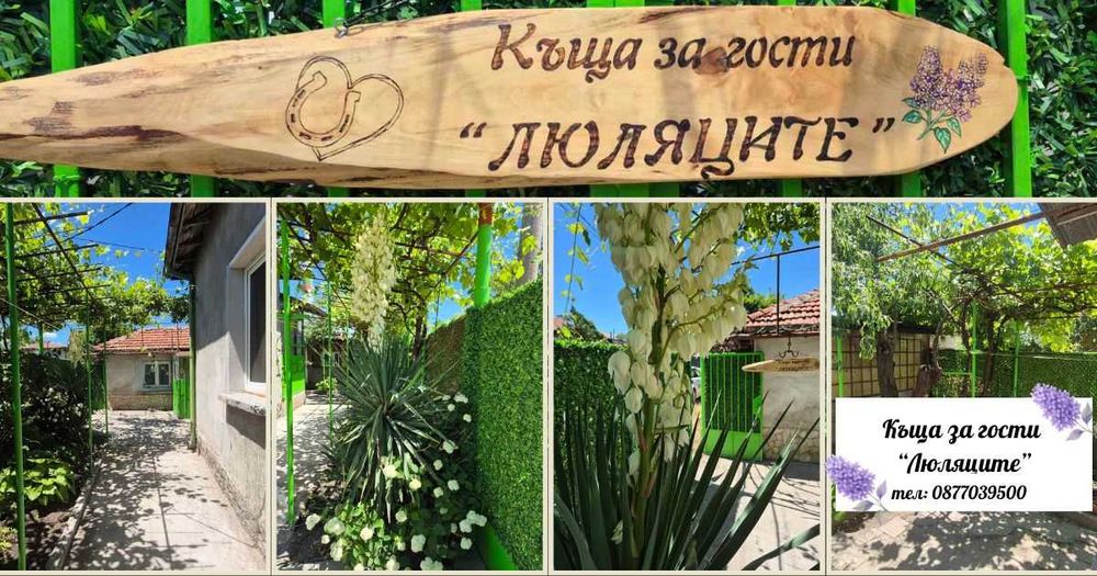 НОЩУВКИ за гр.София