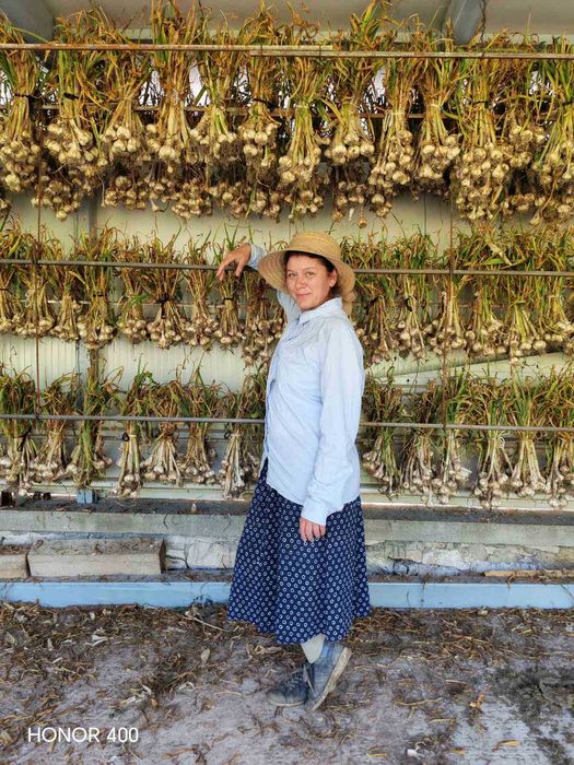 Продавам български, зимен, нелют чесън. Собствено производство.