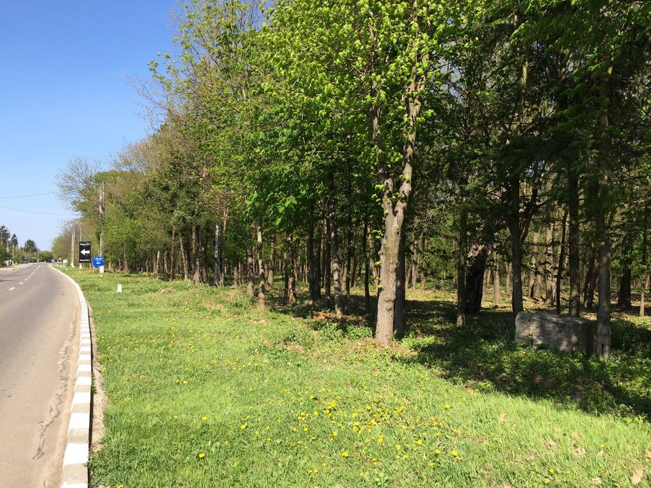 Vand teren 7.000 mp Snagov Sat (Soseaua Snagov)