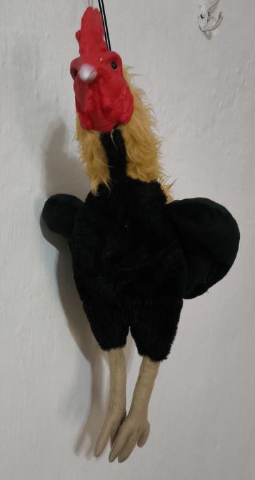 Петух тренировочный