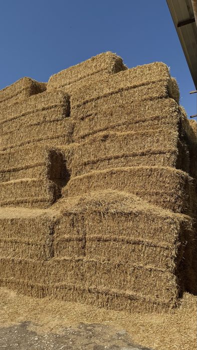 Baloti paie de orz