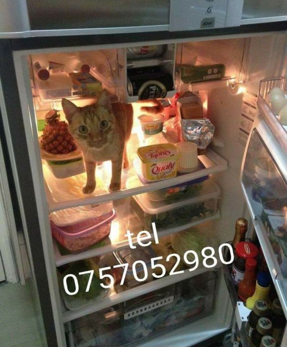 Reparatii frigidere la domiciliu - Arad