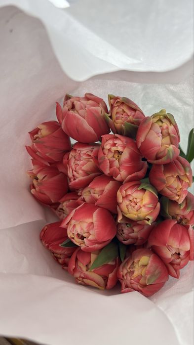 Тюлпань на 8 март