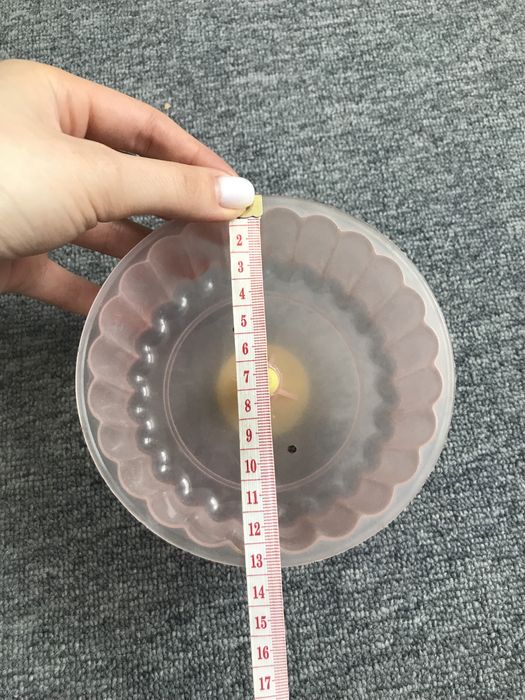 Колеса для грызунов.