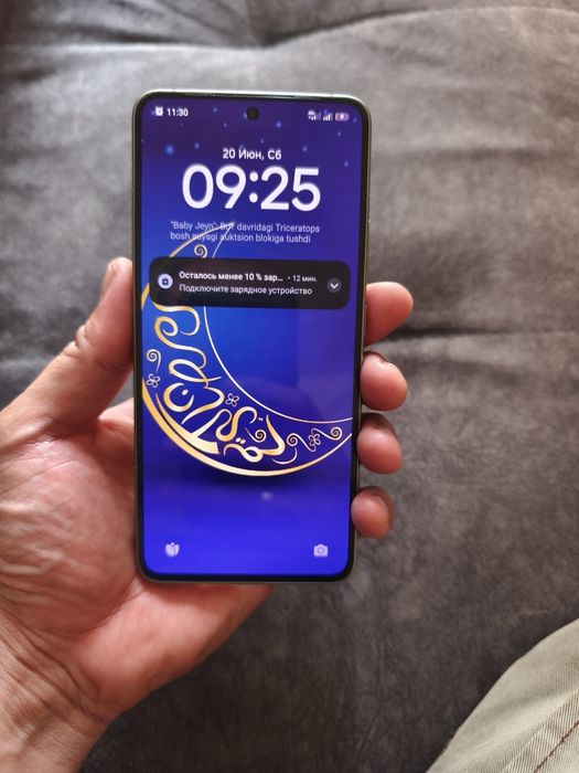 Xiaomi 14 t pro 12/1 terra