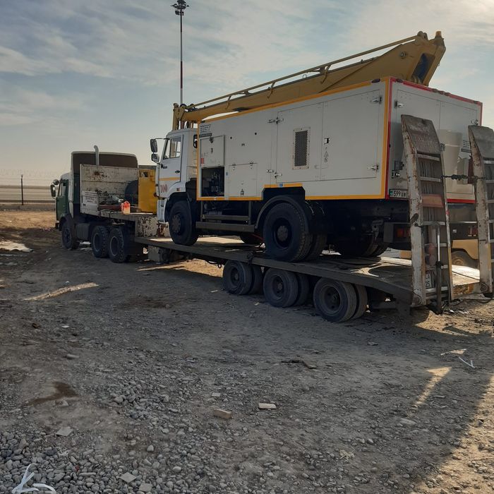 Услуга трал цена дог