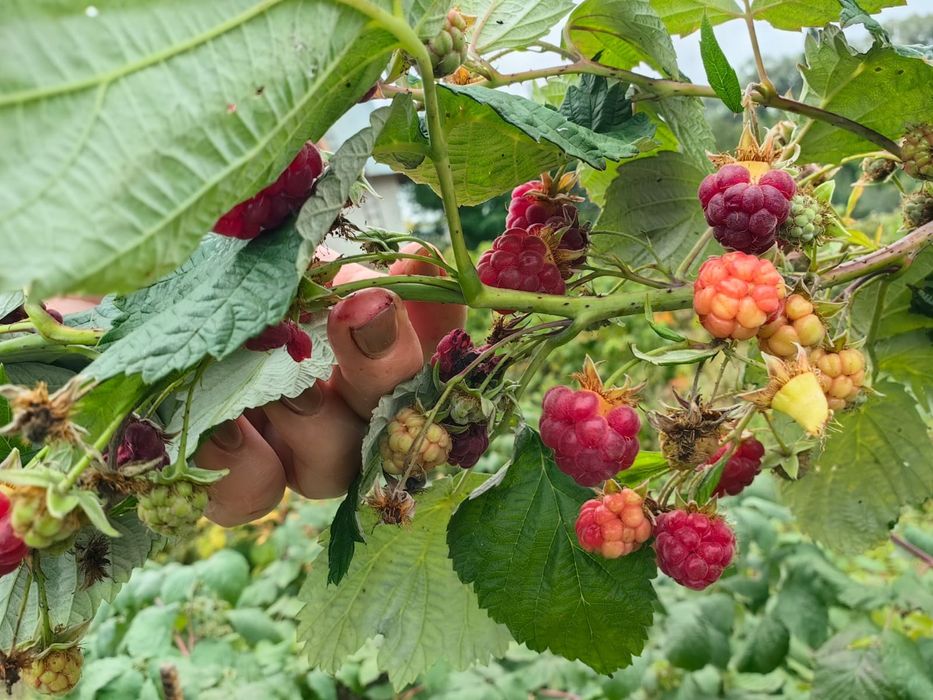 Продам дачу в районе холодного ключа