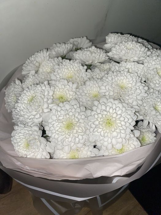 Цветы хризантемыы толькоо утромм получила