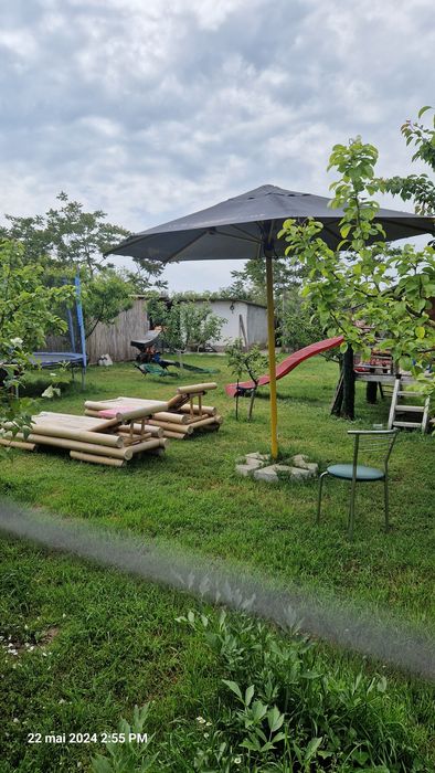 Vând proprietate completă în Pecineaga – ideală pentru locuit sau afacere