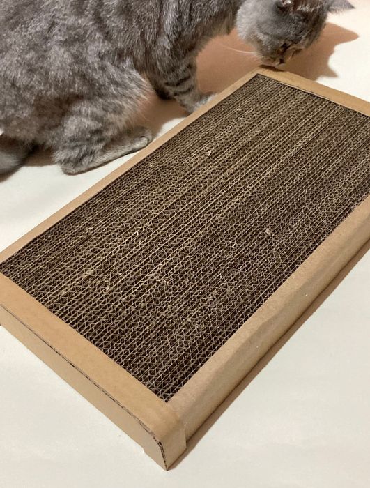 Когтеточки для кошек в Караганде