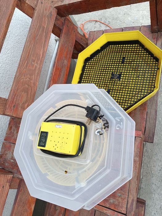 Vând incubator Cleo 5