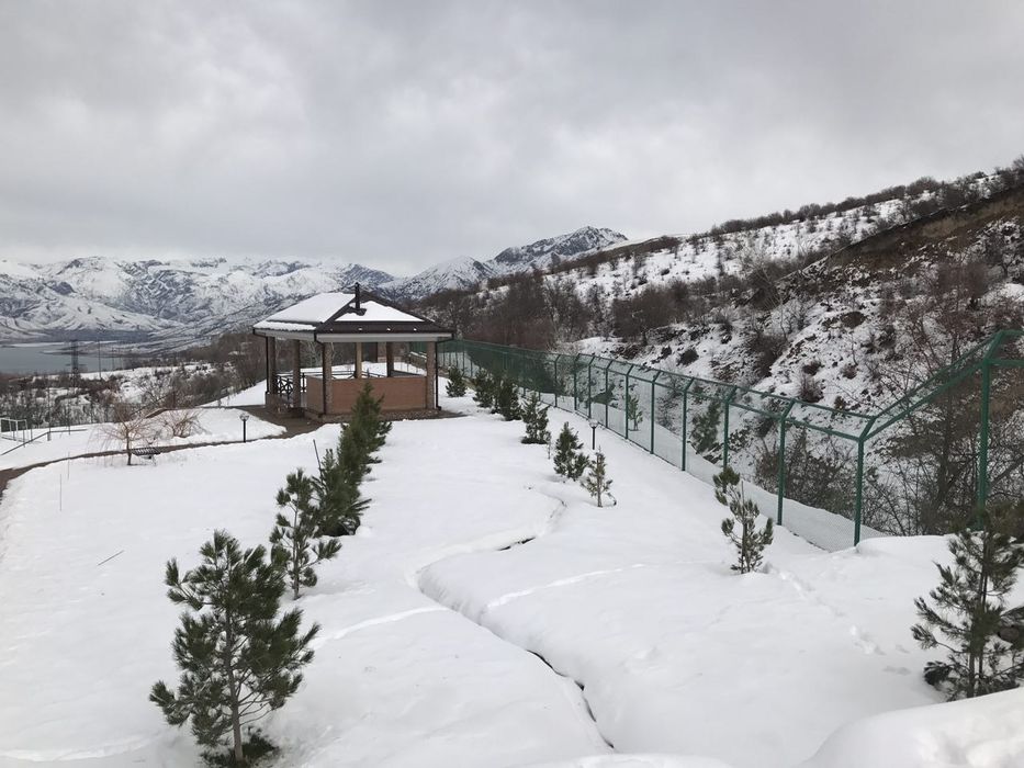 Дача Чимган (в аренду)  Chimyonda Dacha