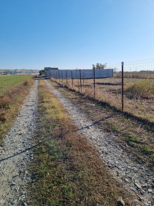 Dudovicesti intravilan parcela 400mp