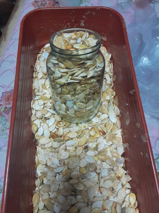 Тыквеные семечки домашние