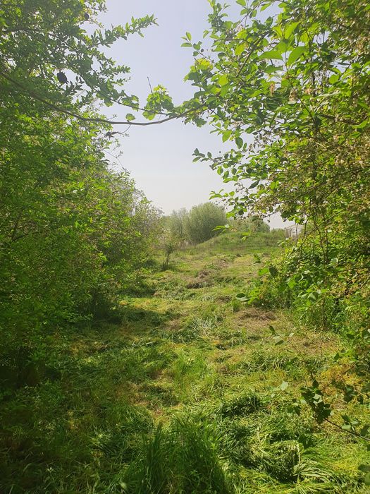 Кировда участок сотилади 10 соток